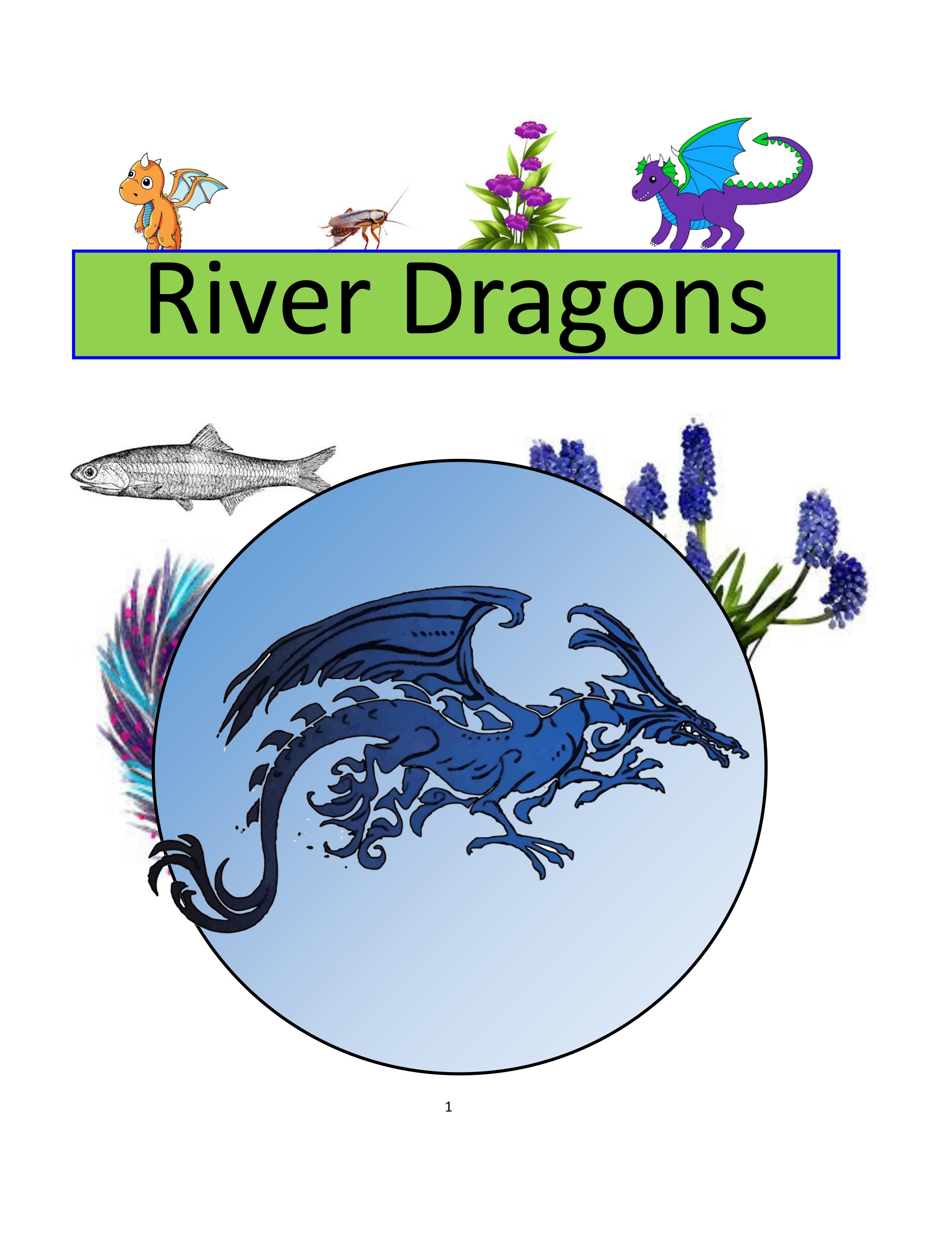 Riverr Dragons play script cover